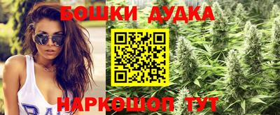 крисы Гай