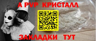 крисы Гай