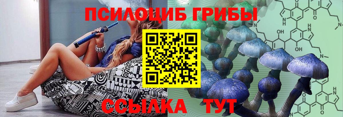 Псилоцибиновые грибы Psilocybine cubensis Нижний Тагил