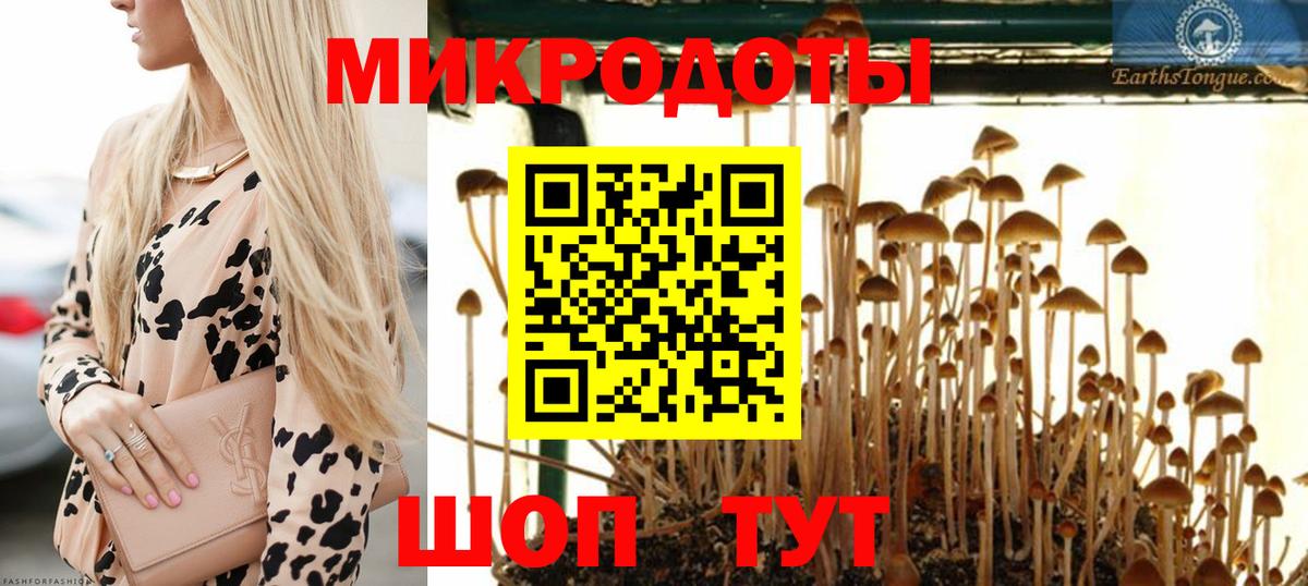 Нижний Тагил  Псилоцибиновые грибы мухоморы  где можно купить   Галлюциногенные грибы ЛСД  Вход с VPN 